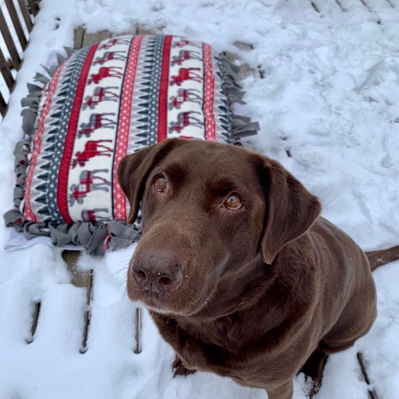 Handmade Fleece Dog Beds - CUSTOMIZABLE - Picture 5 of 15